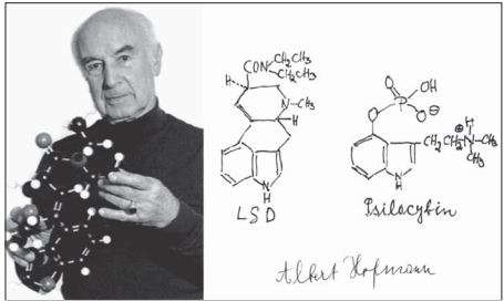 Albert